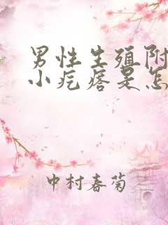 男性生殖附近有小疙瘩是怎么回事