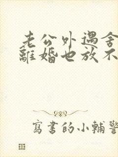 老公外遇舍不得离婚也放不下小三