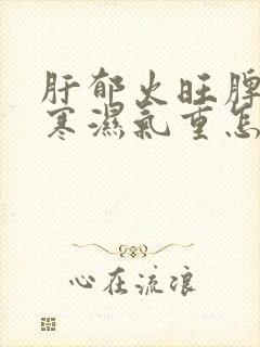 肝郁火旺脾胃虚寒湿气重怎么办