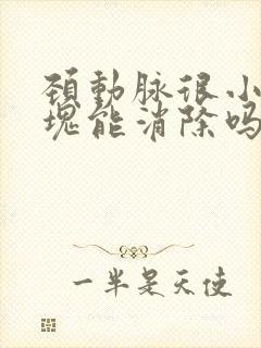 颈动脉很小的斑块能消除吗