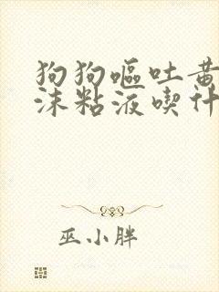 狗狗呕吐黄水泡沫粘液吃什么药