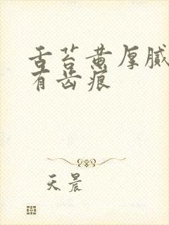 舌苔黄厚腻两侧有齿痕