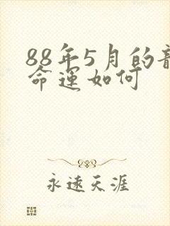 88年5月的龙命运如何