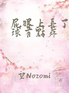 屁眼上长了个肉球有点疼