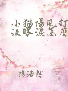 小猫伤风打喷嚏流眼泪怎么办