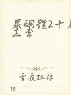 尿酮体2十尿糖正常