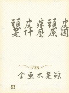 头皮痒头皮屑多是什么原因?怎么解决