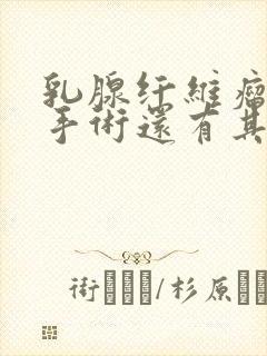 乳腺纤维瘤除了手术还有其他治疗吗