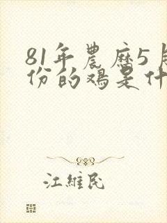 81年农历5月份的鸡是什么命