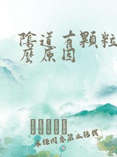 阴道有颗粒是什么原因