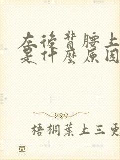 左后背腰上面疼是什么原因