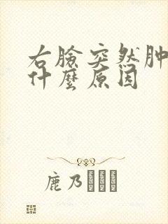 右脸突然肿了是什么原因