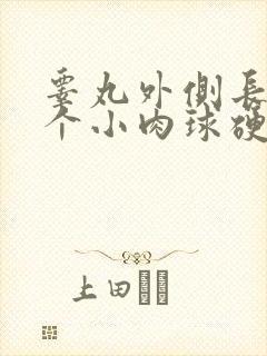 睾丸外侧长了一个小肉球硬硬的