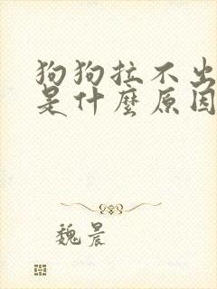 狗狗拉不出大便是什么原因