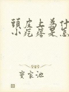 头皮上为什么长小疙瘩是怎么回事啊