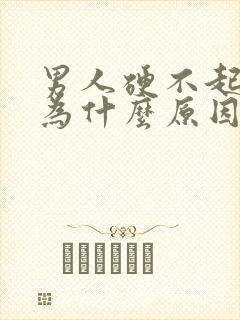 男人硬不起是因为什么原因