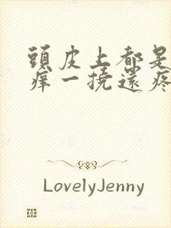 头皮上都是疙瘩痒一挠还疼