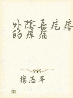 外阴长疙瘩硬硬的痒痛