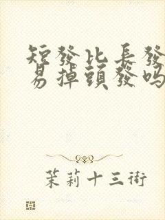 短发比长发不容易掉头发吗