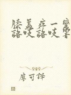 膝盖疼一弯曲就咯吱咯吱响