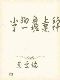 小狗身上的毛掉了一块是什么原因