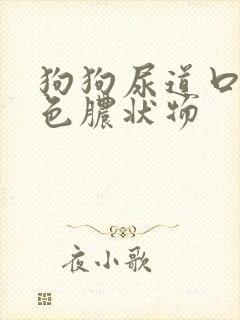 狗狗尿道口有白色脓状物