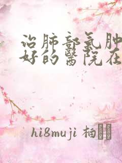 治肺部气肿比较好的医院在哪里