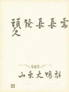 头发长长需要多久