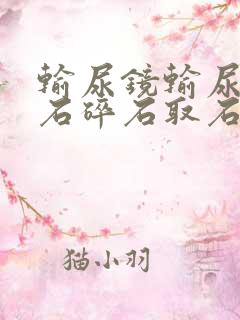 输尿镜输尿管结石碎石取石术