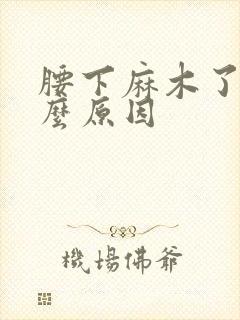 腰下麻木了是什么原因