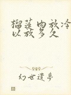 榴莲肉放冷冻可以放多久