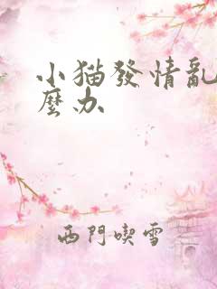 小猫发情乱尿怎么办