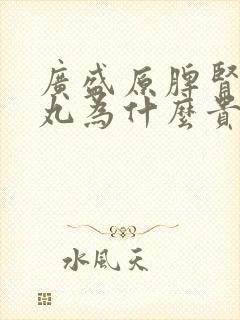 广盛原脾肾两助丸为什么贵