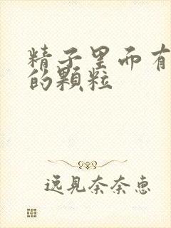 精子里面有透明的颗粒