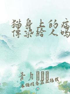 猫身上的病毒会传染给人吗