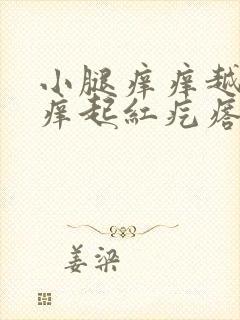 小腿痒痒越挠越痒起红疙瘩和水泡