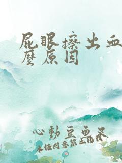 屁眼擦出血是什么原因