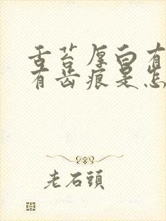 舌苔厚白有裂纹有齿痕是怎么回事