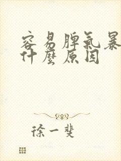 容易脾气暴躁是什么原因