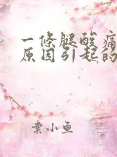 一条腿酸痛什么原因引起的女性