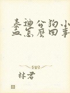 泰迪公狗小便有血怎么回事