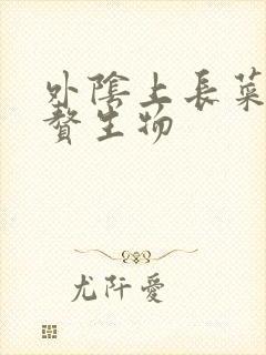 外阴上长菜花状赘生物