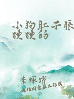 小狗肚子胀胀的硬硬的