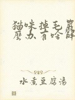 猫咪掉毛严重怎么办有啥解决方法