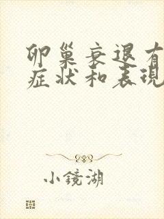 卵巢衰退有什么症状和表现