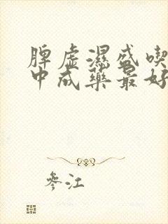 脾虚湿盛吃哪个中成药最好