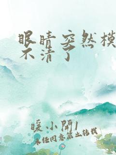 眼睛突然模糊看不清了