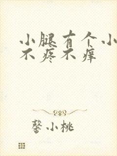 小腿有个小疙瘩不疼不痒