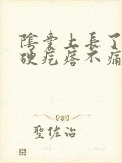 阴囊上长了一个硬疙瘩不痛不痒