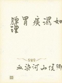 脾胃痰湿如何调理